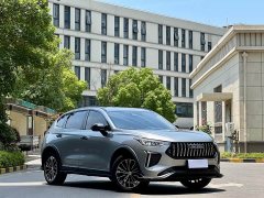 Haval Red Rabbit 2023 1.5T Dynamic Type - ფოტო 3