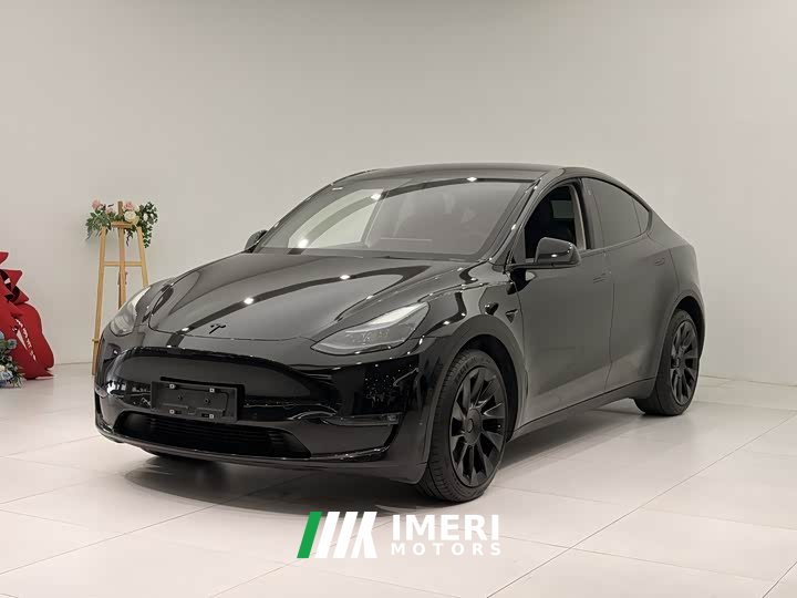 Tesla Model Y long-range all-wheel drive version