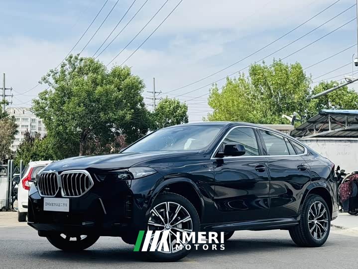 BMW X6 xDrive30i M Sports Package
