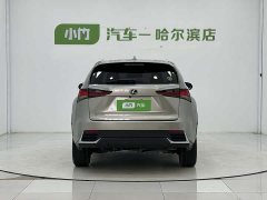 Lexus NX 2020 200 AWD Feng Shang Edition National V - ფოტო 6