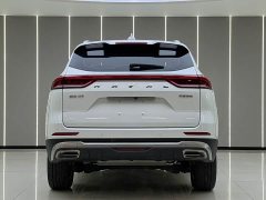 Haval H6 2021 National Trend 1.5T Automatic Champion Edition - ფოტო 17