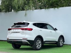 Haval H6 2021 National Fashion Edition 1.5T Automatic Champion Edition - ფოტო 7