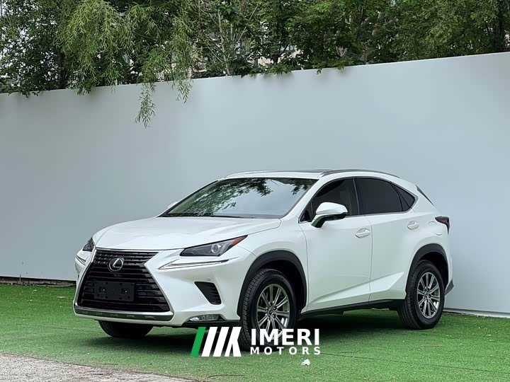 Lexus NX 2020 200 AWD Fengshang Edition National VI - ავტომობილი ჩინეთიდან