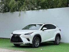 Lexus NX 2020 200 AWD Fengshang Edition National VI - ფოტო 1