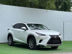 Lexus NX 2020 200 AWD Fengshang Edition National VI - ფოტო 3