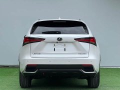 Lexus NX 2020 200 AWD Fengshang Edition National VI - ფოტო 8
