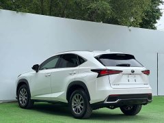 Lexus NX 2020 200 AWD Fengshang Edition National VI - ფოტო 9