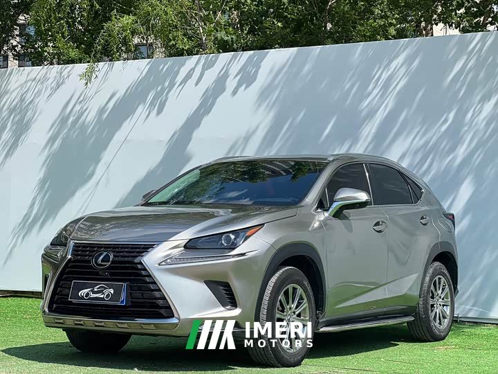 Lexus NX 2020 200 AWD Fengshang Edition National VI - ავტომობილი ჩინეთიდან