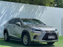 Lexus NX 2020 200 AWD Fengshang Edition National VI - ფოტო 3