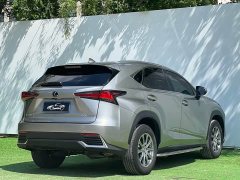 Lexus NX 2020 200 AWD Fengshang Edition National VI - ფოტო 7