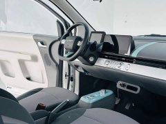 Changan Lumin 2022 301km Honey Sweet Edition - ფოტო 16
