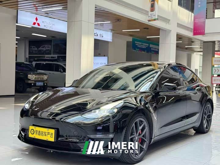 Tesla Model 3 Performance high-performance all-wheel drive version