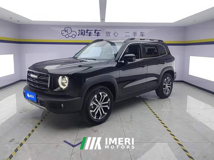 Haval Big Dog 2021 1.5T DCT two-wheel drive Border Collie version