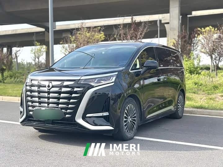 Denza D9 DM-i 980 four-wheel drive premium