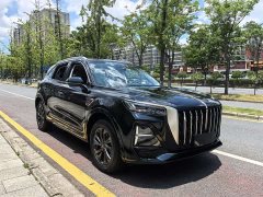 Hongqi HS5 2023 2.0T Qixiang Pro 500,000 Units Commemorative Edition - ფოტო 3