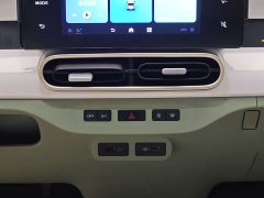 Geely Panda 2025 Panda mini 210km Yuanqi Edition - ფოტო 17