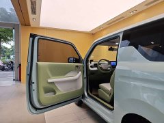 Geely Panda 2025 Panda mini 210km Yuanqi Edition - ფოტო 8