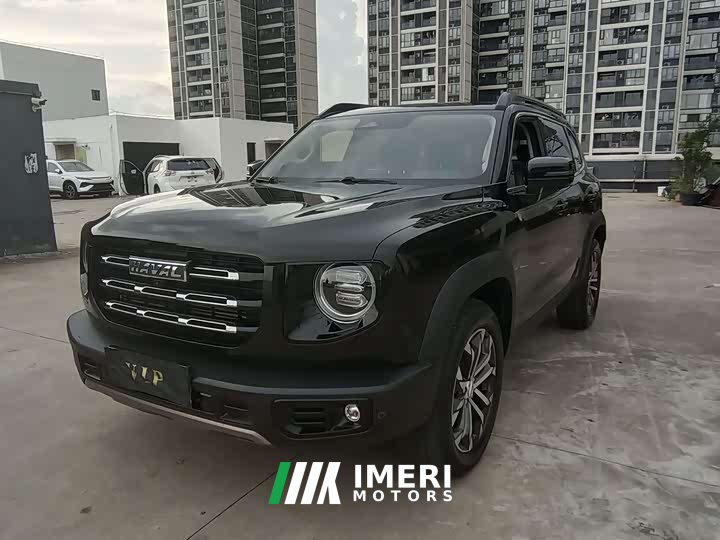 Haval Big Dog 1.5T DCT two-wheel drive Border Collie version