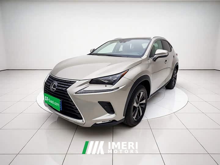 Lexus NX 2020 300h front-wheel drive Fengyue version National VI