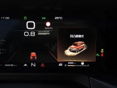 Tank 300 2021 Off-Road Version 2.0T Conqueror - ფოტო 15