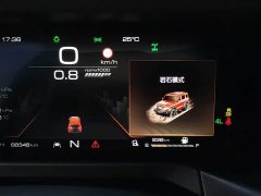 Tank 300 2021 Off-Road Version 2.0T Conqueror - ფოტო 16