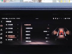 Tank 300 2021 Off-Road Version 2.0T Conqueror - ფოტო 18