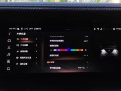 Tank 300 2021 Off-Road Version 2.0T Conqueror - ფოტო 20