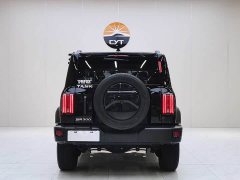Tank 300 2021 Off-Road Version 2.0T Conqueror - ფოტო 4