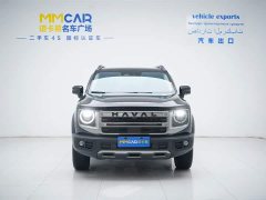 Haval Big Dog 2024 1.5T DCT Border Collie Edition - ფოტო 10