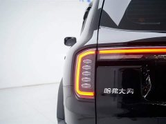 Haval Big Dog 2024 1.5T DCT Border Collie Edition - ფოტო 13
