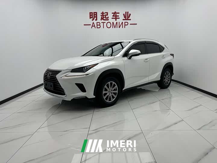 Lexus NX 2020 200 AWD Fengshang Edition National VI