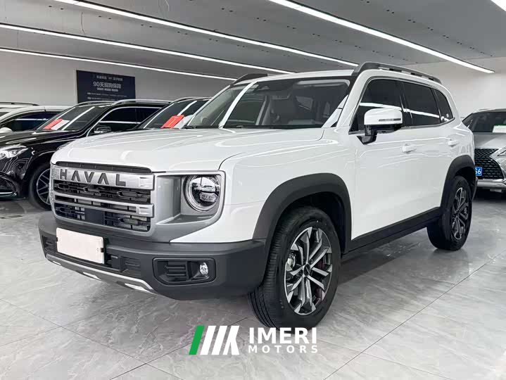 Haval Big Dog 2024 1.5T DCT Border Collie Edition