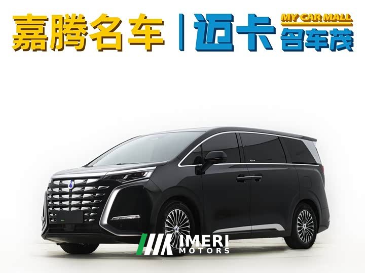 Denza D9 2024 DM-i 980 four-wheel drive premium