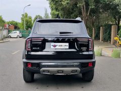 Haval Big Dog 2022 2.0T DCT four-wheel drive Chinese pastoral dog version - ფოტო 5