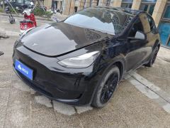 Tesla Model Y 554km Rear-Wheel Drive Edition - фото 1