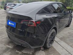 Tesla Model Y 554km Rear-Wheel Drive Edition - фото 2