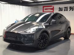 Tesla Model Y 554km Rear-Wheel Drive Edition - ფოტო 1