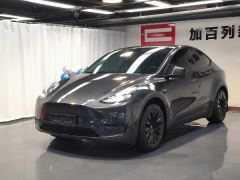 Tesla Model Y 554km Rear-Wheel Drive Edition - ფოტო 2
