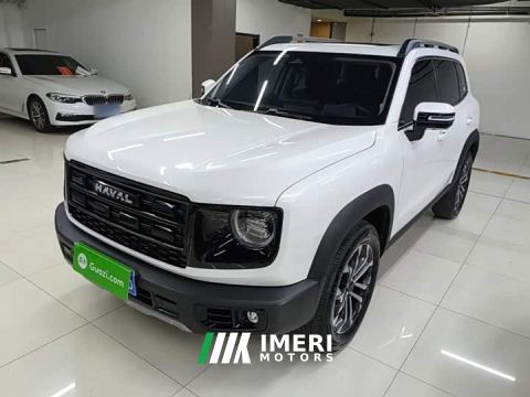 2026 Great Wall Dachshund 1.5T DCT Border Collie Edition - ავტომობილი ჩინეთიდან