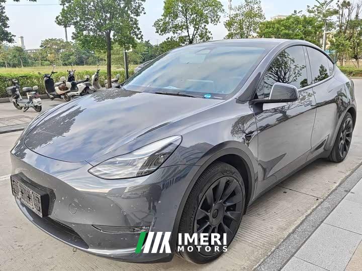 Tesla Model Y Rear-Wheel Drive