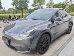 Tesla Model Y Rear-Wheel Drive - photo 1