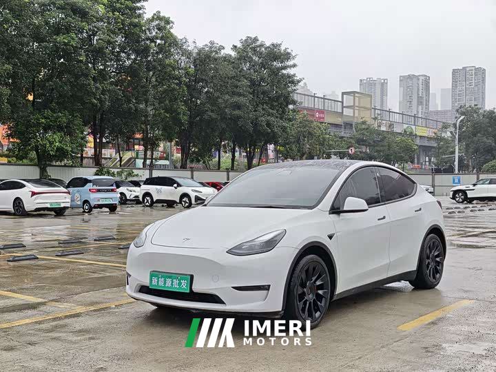 Tesla Model Y Standard Range RWD - автомобиль из Китая