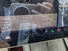 Tesla Model Y Standard Range RWD - фото 13