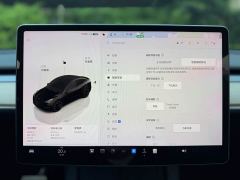 Tesla Model Y Rear-Wheel Drive - ფოტო 12