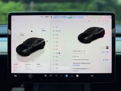 Tesla Model Y Rear-Wheel Drive - ფოტო 13