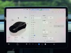 Tesla Model Y Rear-Wheel Drive - ფოტო 14