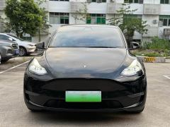 Tesla Model Y Rear-Wheel Drive - ფოტო 2