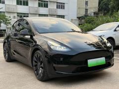Tesla Model Y Rear-Wheel Drive - ფოტო 3
