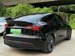 Tesla Model Y Rear-Wheel Drive - ფოტო 6