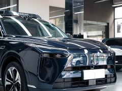 WEY Blue Mountain Four-Wheel Drive Max - photo 7